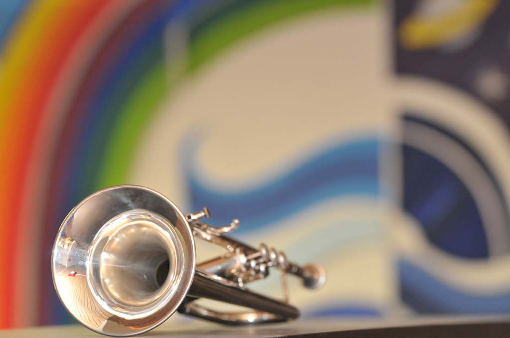 Liegendes Cornet vor farbigem Hintergrund.