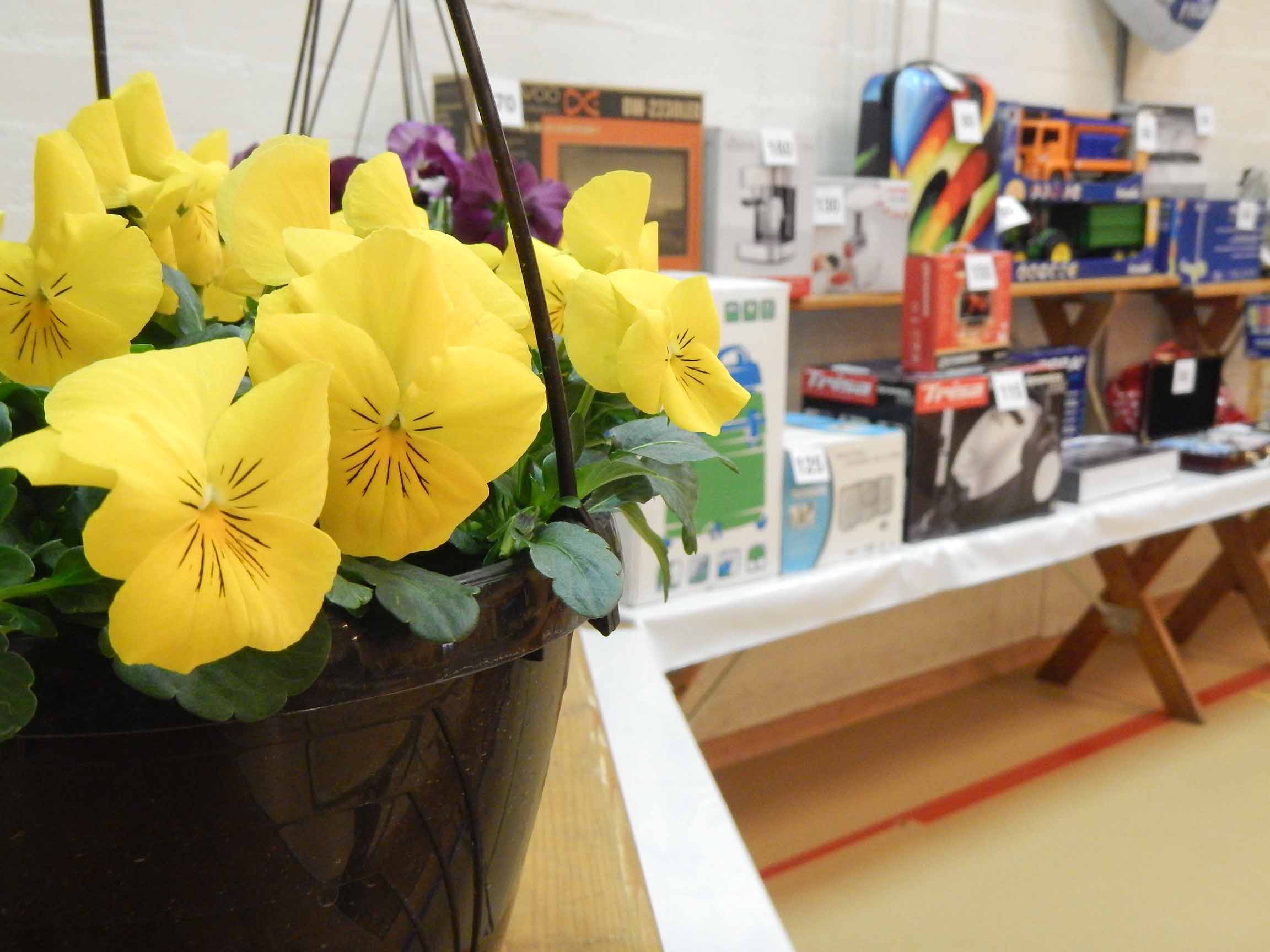 Gabentisch mit vielen Preisen, welche gegen Punkte eingelöst werden können.