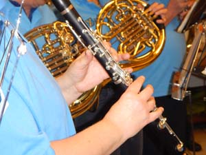 Klarinette mit goldenen F-Hörnern im Hintergrund.