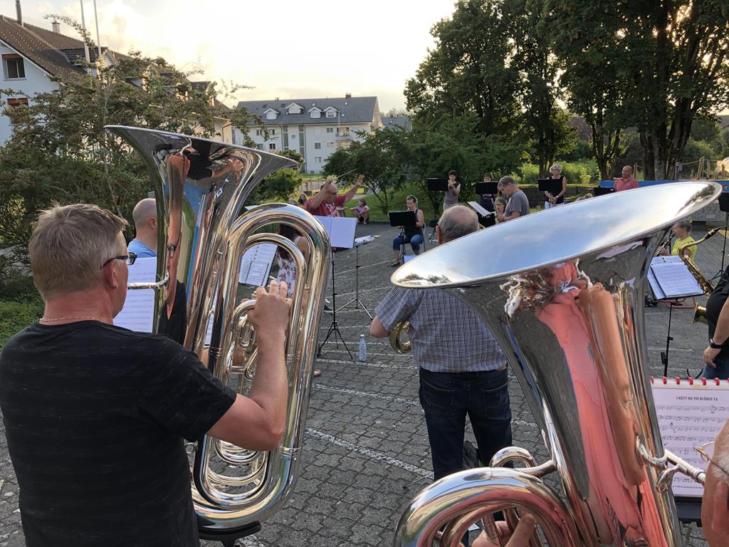 Unsere zwei Bässe. (Von hinten fotografiert)